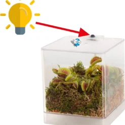 Swampworld Mini Terrarium Met LED Lamp - Vleesetende Plant - 1 Venus Vliegenvanger + Handige Watermeter - L12xB12xH15 Cm -Exporteren Buiten Groen Winkel 1106x1200