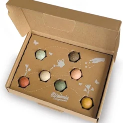 Blossombs Giftbox Small - 7 Blossombs - Bloembommetjes - Zaadbommetjes - Vlinders - Bijen - Biologisch - Ecologisch - Verjaardag - Communie - Doopsuiker - Valentijn -Exporteren Buiten Groen Winkel 1111x1200