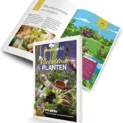 Swampworld Mini Terrarium Met LED Lamp - Vleesetende Plant - 1 Venus Vliegenvanger + Handige Watermeter - L12xB12xH15 Cm -Exporteren Buiten Groen Winkel 1112x1200