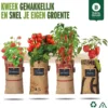4x Hangtuintjes Moestuin Kweekset Groenten Nu Met Gratis FSC Houten Hangrekje!!