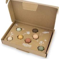 Blossombs Giftbox Small - 7 Blossombs - Bloembommetjes - Zaadbommetjes - Vlinders - Bijen - Biologisch - Ecologisch - Verjaardag - Communie - Doopsuiker - Valentijn -Exporteren Buiten Groen Winkel 1116x1200 2
