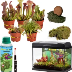 Swampworld Terrarium XL Met Lamp - Vleesetende Planten Terrarium - 5 Verschillende Vleesetende Plant Soorten - L39xB21xH31 Cm -Exporteren Buiten Groen Winkel 1150x1200