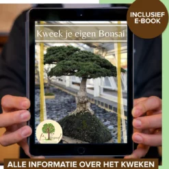 B-seed Starters Kit Incl. E-Book Bonsai Zaden Kweken - Boompje In Pot - Kamerplanten - Kweekset - Geschenkset - Kerstcadeau -Exporteren Buiten Groen Winkel 1151x1200 1