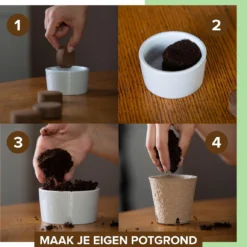 B-seed Starters Kit Incl. E-Book Bonsai Zaden Kweken - Boompje In Pot - Kamerplanten - Kweekset - Geschenkset - Kerstcadeau -Exporteren Buiten Groen Winkel 1151x1200 4