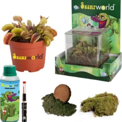 Swampworld Mini Terrarium Met LED Lamp - Vleesetende Plant - 1 Venus Vliegenvanger + Handige Watermeter - L12xB12xH15 Cm -Exporteren Buiten Groen Winkel 1160x1200 1