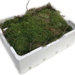 Merkloos 4 Lagen Vers Mos (Platmos) - Leuk Voor Decoratie - In Kist (40x30cm)