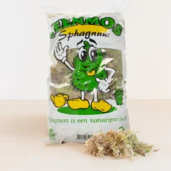 Sphagnum Mos Levend -Exporteren Buiten Groen Winkel 1200x1093