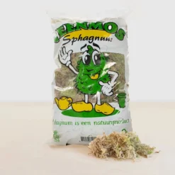 Sphagnum Mos Levend -Exporteren Buiten Groen Winkel 1200x1106 1