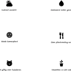 Kattengras - Gerst - Huisdier - Diervriendelijke Kamerplant - Triticum Aestivum - Potmaat Ø12cm - 2 Stuks -Exporteren Buiten Groen Winkel 1200x1120