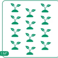 GP 12 X Kruipend Tijm / Kruiptijm - Winterharde Tuinplanten - Thymus Praecox 'Purple Beauty' In 9x9cm Pot Met Hoogte 5-10cm 15 GP 12 X Kruipend Tijm / Kruiptijm - Winterharde Tuinplanten - Thymus Praecox 'Purple Beauty' In 9x9cm Pot Met Hoogte 5-10cm -Exporteren Buiten Groen Winkel 1200x1124