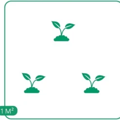 GP 12 X Prachtriet Gracillimus - Winterhard Siergras - Miscanthus Sinensis 'Gracillimus' In 9x9cm Pot Met Hoogte 5-10cm 13 GP 12 X Prachtriet Gracillimus - Winterhard Siergras - Miscanthus Sinensis 'Gracillimus' In 9x9cm Pot Met Hoogte 5-10cm -Exporteren Buiten Groen Winkel 1200x1130