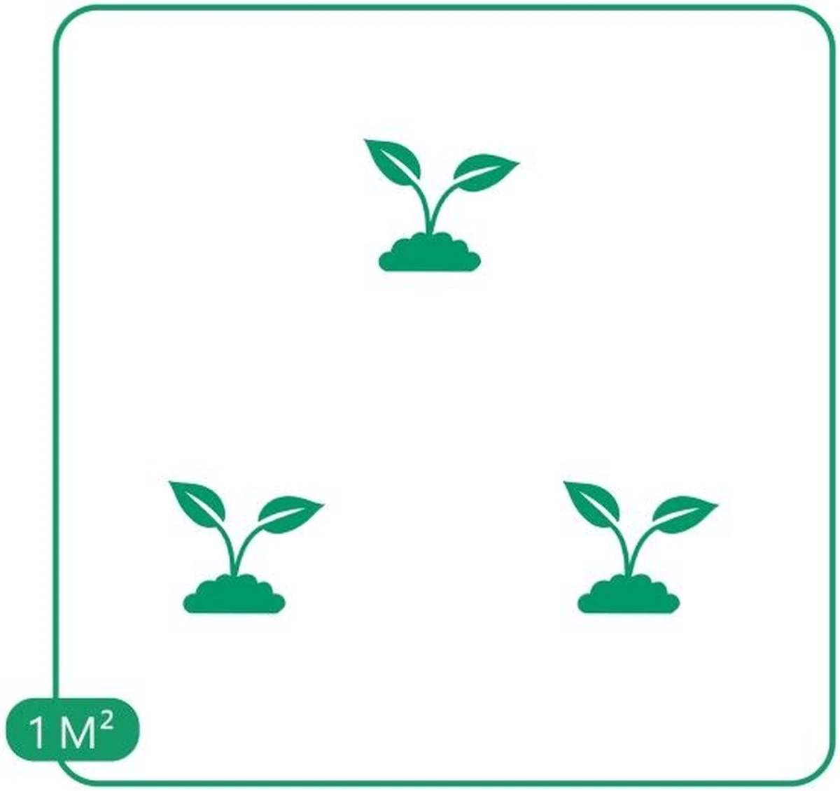 GP 12 X Prachtriet Gracillimus - Winterhard Siergras - Miscanthus Sinensis 'Gracillimus' In 9x9cm Pot Met Hoogte 5-10cm 6 GP 12 X Prachtriet Gracillimus - Winterhard Siergras - Miscanthus Sinensis 'Gracillimus' In 9x9cm Pot Met Hoogte 5-10cm - Afbeelding 6