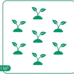 GP 12 X Japans Bloedgras - Siergras - Tuinplanten Winterhard - Vaste Planten - Imperata Red Baron - In 9x9cm Pot Met Hoogte 5-10cm -Exporteren Buiten Groen Winkel 1200x1131