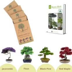 B-seed Zaden Set Incl. E-Book Bonsai Zaden Kweken - Boompje In Pot - Kamerplanten - Kweekset – Cadeau Man & Vrouw - Geschenkset
