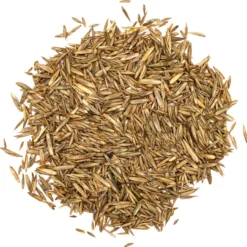 Snelkiemend Power Graszaad Voor 250m² Gras | Hoge Kwaliteit Gras Voor Een Snel Groeiend Meerjarig Gazon -Exporteren Buiten Groen Winkel 1200x1190