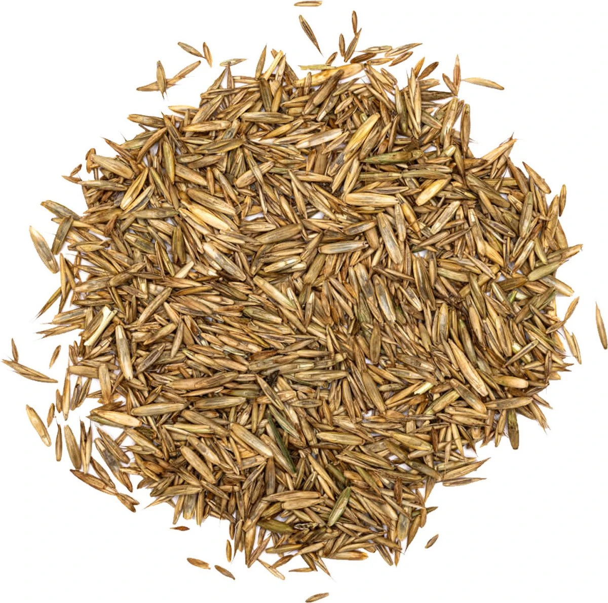 Speel En Sport Graszaad Voor 50m² Gras | Bestendig Tegen Intensief Gebruik | Gazon Voor Sporten & Spelen 2 Speel En Sport Graszaad Voor 50m² Gras | Bestendig Tegen Intensief Gebruik | Gazon Voor Sporten & Spelen - Afbeelding 2