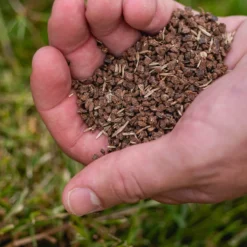 ECOstyle Gazon 4-in-1 Totaalpakket Met Kalk, Mest, Graszaad & Grond In Een Doos - Geeft Kale Plekken In Gras Egaal Herstel - 5- 10 Kale Plekken - 1 KG -Exporteren Buiten Groen Winkel 1200x1199 3