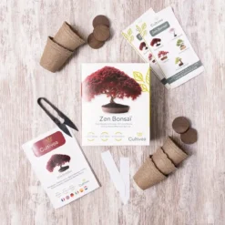 Mini Zen Bonsai Kit -Exporteren Buiten Groen Winkel 1200x1200 137