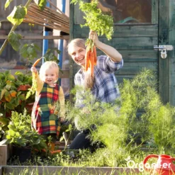 Groentezaden Pakket – 25 Culinaire Soorten - Organifer -Exporteren Buiten Groen Winkel 1200x1200 15