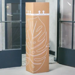 Zamioculcas Zamiifolia | Groene Kamerplant | Palm | Pot 21cm | Hoogte 75 Cm | Geleverd In Kwekerspot