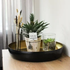 ZynesFlora - Ananasplant In Houten Sierpot - Ø 12 Cm - Hoogte: 30 - 40cm - Luchtzuiverend - Kamerplant - Kamerplant In Pot -Exporteren Buiten Groen Winkel 1200x1200 183