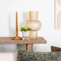 Kleine Vleesetende Plant | Dionaea Per Stuk - Binnen- En Buitenplant In Kwekerspot ⌀6 Cm - ↕10 Cm -Exporteren Buiten Groen Winkel 1200x1200 192