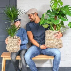 Dracaena Marginata | Groene Kamerplant | Potmaat 21cm | Hoogte 95cm | Geleverd In Kwekerspot -Exporteren Buiten Groen Winkel 1200x1200 215