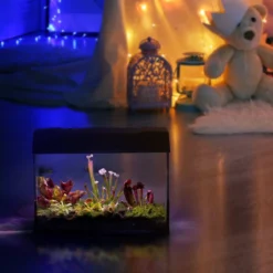Swampworld Terrarium XL Met Lamp - Vleesetende Planten Terrarium - 5 Verschillende Vleesetende Plant Soorten - L39xB21xH31 Cm -Exporteren Buiten Groen Winkel 1200x1200 227