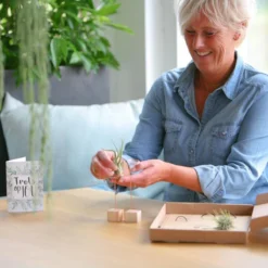 Luchtplantjes -Exporteren Buiten Groen Winkel 1200x1200 240