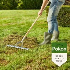 Pokon Graszaad Herstel - 2kg - Gazonherstel - Geschikt Voor 80m² Tot 120m² - Supersnel Egaal Groen Gras -Exporteren Buiten Groen Winkel 1200x1200 262
