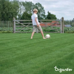 Speelgazon Graszaad (1kg Voor 50m2) - Snelkiemend En Zelfherstellend Sportgazon Bestand Tegen Betreding - Resilient - Organifer -Exporteren Buiten Groen Winkel 1200x1200 272
