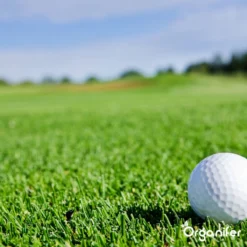 Speelgazon Graszaad (1kg Voor 50m2) - Snelkiemend En Zelfherstellend Sportgazon Bestand Tegen Betreding - Resilient - Organifer -Exporteren Buiten Groen Winkel 1200x1200 276