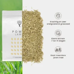 Snelkiemend Power Graszaad Voor 250m² Gras | Hoge Kwaliteit Gras Voor Een Snel Groeiend Meerjarig Gazon -Exporteren Buiten Groen Winkel 1200x1200 295