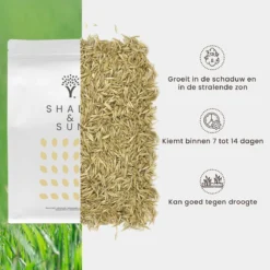 Schaduw Graszaad Voor 100m² Gras | Voor Een Gazon Met Veel Schaduw | Hitte & Droogte Resistent -Exporteren Buiten Groen Winkel 1200x1200 300