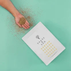 Schaduw Graszaad Voor 50m² Gras | Voor Een Gazon Met Veel Schaduw | Hitte & Droogte Resistent -Exporteren Buiten Groen Winkel 1200x1200 323