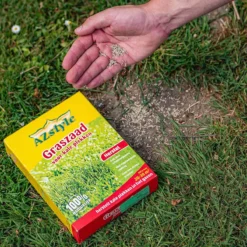 ECOstyle Extra Graszaad Herstel - Inzaaien Van Kale Plekken En Beschadigde Delen - Vogelwerende Coating - Dicht & Sterk Gazon - Kiemt Bij Lage Temperatuur - 4-6 M² - 100 GR -Exporteren Buiten Groen Winkel 1200x1200 326