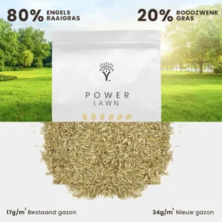 Snelkiemend Power Graszaad Voor 100m² Gras | Hoge Kwaliteit Gras Voor Een Snel Groeiend Meerjarig Gazon -Exporteren Buiten Groen Winkel 1200x1200 364