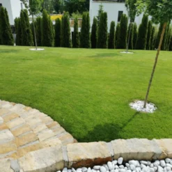 Snelkiemend Power Graszaad Voor 100m² Gras | Hoge Kwaliteit Gras Voor Een Snel Groeiend Meerjarig Gazon -Exporteren Buiten Groen Winkel 1200x1200 365