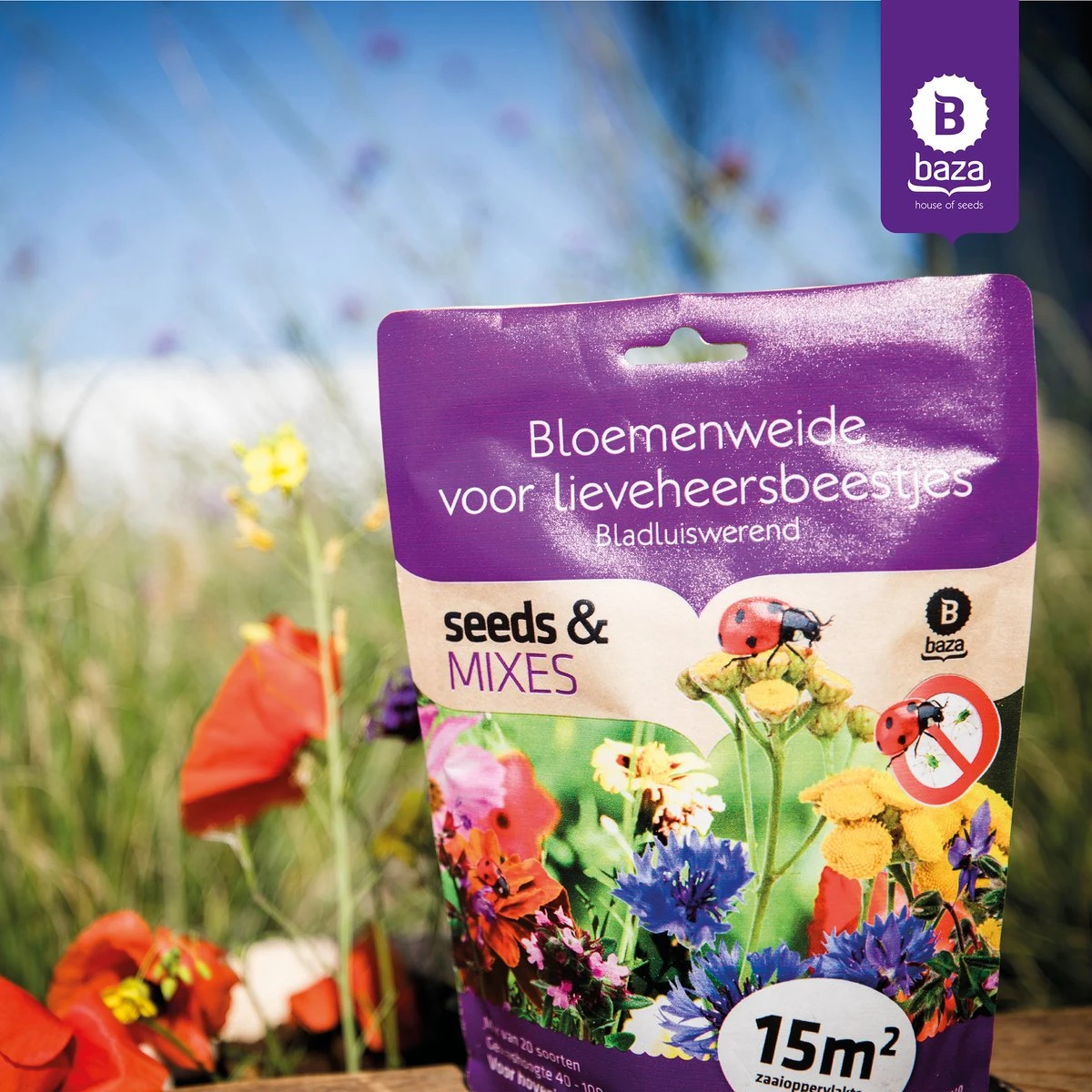 Seeds & Mixes Bloemenweide Zaden Meerjarig En Wilde Bloemen 2 Stuks 2 Seeds & Mixes Bloemenweide Zaden Meerjarig En Wilde Bloemen 2 Stuks - Afbeelding 2