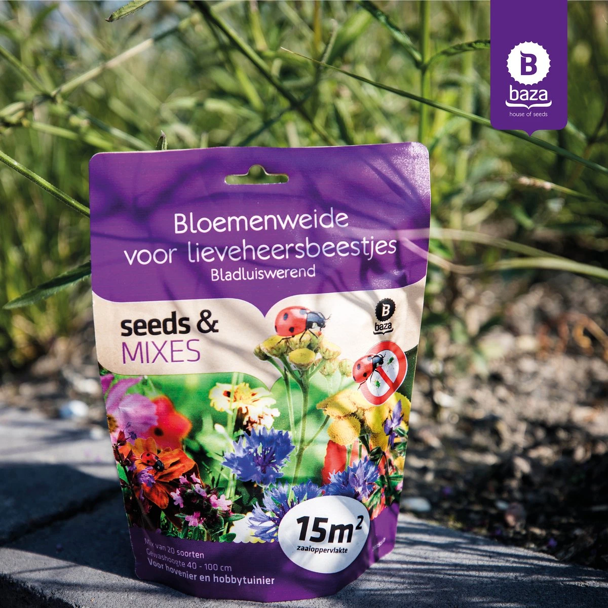 Seeds & Mixes Bloemenweide Zaden Meerjarig En Wilde Bloemen 2 Stuks 4 Seeds & Mixes Bloemenweide Zaden Meerjarig En Wilde Bloemen 2 Stuks - Afbeelding 4