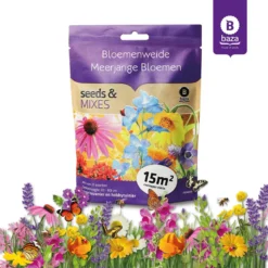 Seeds & Mixes Bloemenweide Zaden Meerjarig En Wilde Bloemen 2 Stuks 10 Seeds & Mixes Bloemenweide Zaden Meerjarig En Wilde Bloemen 2 Stuks -Exporteren Buiten Groen Winkel 1200x1200 378