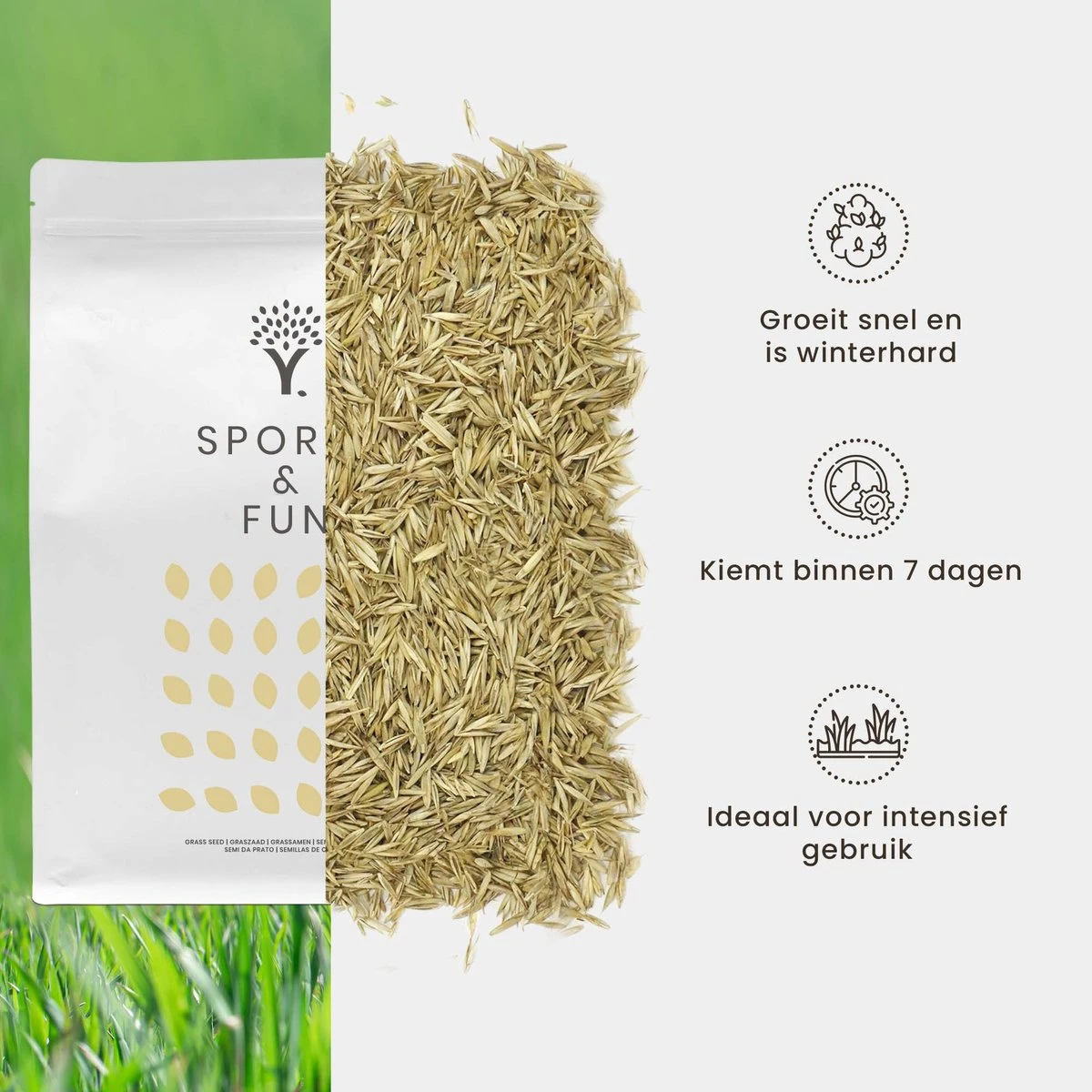Speel En Sport Graszaad Voor 50m² Gras | Bestendig Tegen Intensief Gebruik | Gazon Voor Sporten & Spelen 4 Speel En Sport Graszaad Voor 50m² Gras | Bestendig Tegen Intensief Gebruik | Gazon Voor Sporten & Spelen - Afbeelding 4
