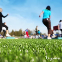 Herstelgazon Graszaad Met Grote Kiemkracht – Fast Repair (5 Kg Voor 250m2) Organifer -Exporteren Buiten Groen Winkel 1200x1200 414