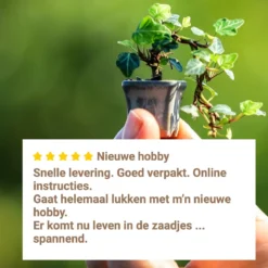 B-seed Zaden Set Incl. E-Book Bonsai Zaden Kweken - Boompje In Pot - Kamerplanten - Kweekset – Cadeau Man & Vrouw - Geschenkset -Exporteren Buiten Groen Winkel 1200x1200 424