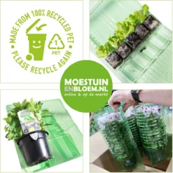 Merkloos 4 Lagen Vers Mos (Platmos) - Leuk Voor Decoratie - In Kist (40x30cm) -Exporteren Buiten Groen Winkel 1200x1200 426