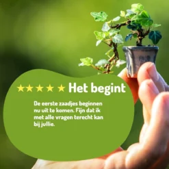 Bonsai Zaden 6 Soorten Incl. E-Book - Kweekset - Boompje In Pot - Kamerplanten – Kerstcadeau -Exporteren Buiten Groen Winkel 1200x1200 442