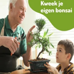 Bonsai Zaden 6 Soorten Incl. E-Book - Kweekset - Boompje In Pot - Kamerplanten – Kerstcadeau -Exporteren Buiten Groen Winkel 1200x1200 443