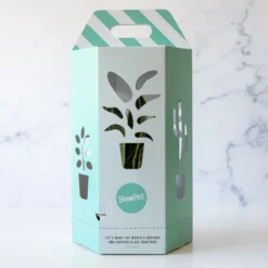 Koffieplant | Coffea Arabica | Inclusief Viber Pot: Duurzaam & Biologisch Afbreekbaar | Kamerplant | Bloompost -Exporteren Buiten Groen Winkel 1200x1200 60