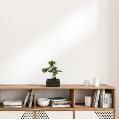 WL Plants - Bonsai Carmona - Bonsai Boompje - Kamerplanten - Unieke Kamerplant - ± 35cm Hoog - 22cm Diameter - In Keramieke Zwarte Pot -Exporteren Buiten Groen Winkel 1200x1200 61