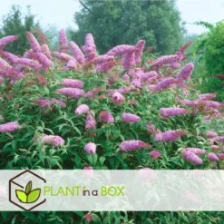 Exporteren Buiten Groen Winkel -Exporteren Buiten Groen Winkel 1200x1200 630